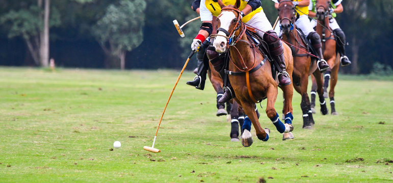 Polo horse player riding a horse