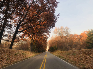 Naklejka premium Autumn Scenic Highway Road with Colorful Fall Tree Leaves Foliage