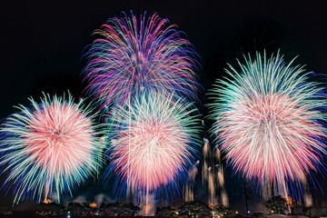 視界一面の大きな花火