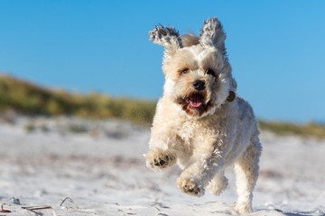 Beach time fun