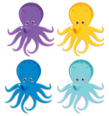Octopus in four different colors