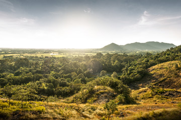 Obraz premium rolling hills and golden fields on sunset.