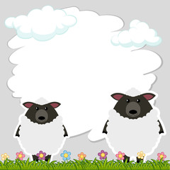 Border template with two sheeps