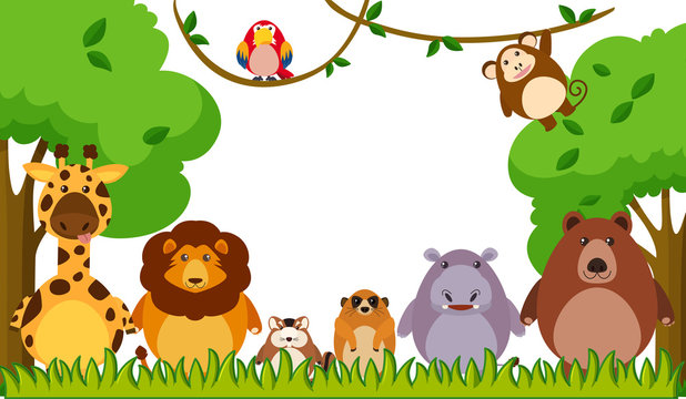 Background template with wild animals in park