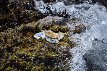 Waves Crashing Around Bitcoins With Water Droplets 3