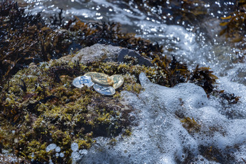 Waves Crashing Around Bitcoins With Water Droplets 2 