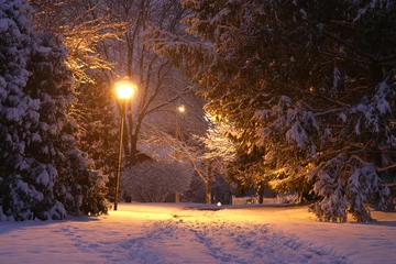 Foto op Aluminium Beautiful winter night background. Beautiful winter evening landscape with footprints on a covered by fresh snow alley and shining lanterns in a park.  © Maryna