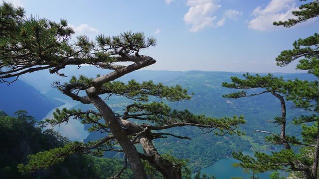 View from famous Banjska stena on Drina river in Tara National Park, Serbia, timelapse 4k

