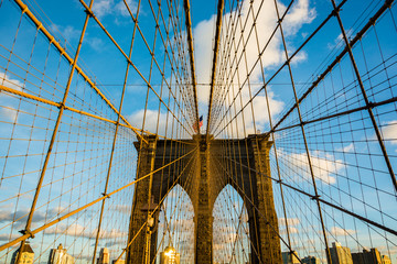 NY-11