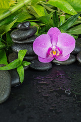 Fototapeta na wymiar Spa concept with zen stones, orchid flower and bamboo