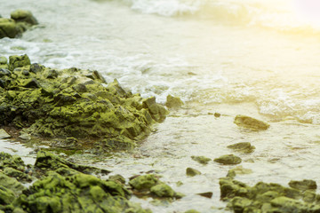 Green rock in the sea on beach with sunset