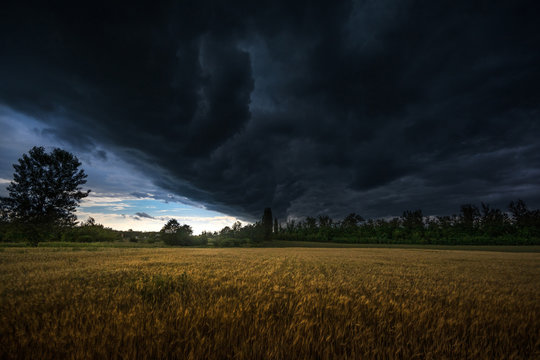 Gewitterfront