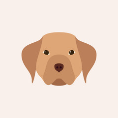 Head dog. Simple pet. Vector illustration.