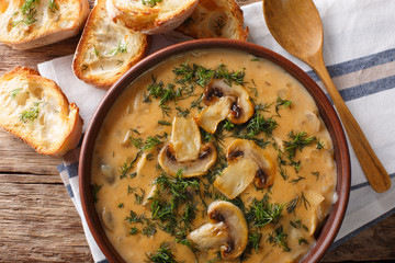Spicy mushroom soup with fresh dill in a bowl and toast close-up. Horizontal top view