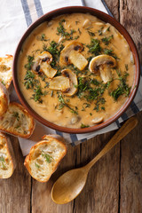 homemade thick mushroom soup and toast close-up. Vertical top view
