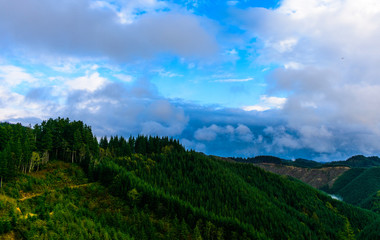 Naklejka premium Ridge Line from public logging road in Oregon