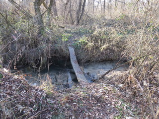 A forest stream. November. Village. Bryansk district. (The Vast Russia! Sergey, Bryansk.)