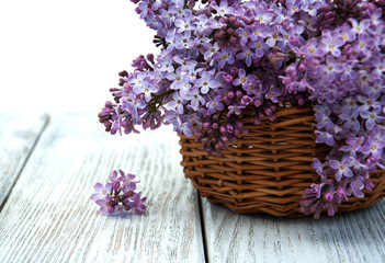Obraz na płótnie Canvas Lilac flowers