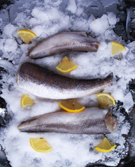 Fresh raw sea fish and lemon peces on ice surface.