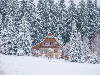 Einsames aus in einer Winterlandschaft