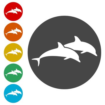 Dolphin fish animal silhouette, Silhouette dolphin 
