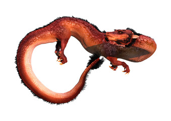 3D Rendering Eastern Dragon on White