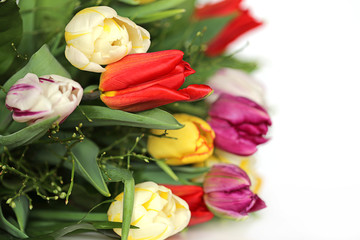 Fototapeta premium Tulip flower. Bouquet of tulips on a white background. copy space. Spring flowers