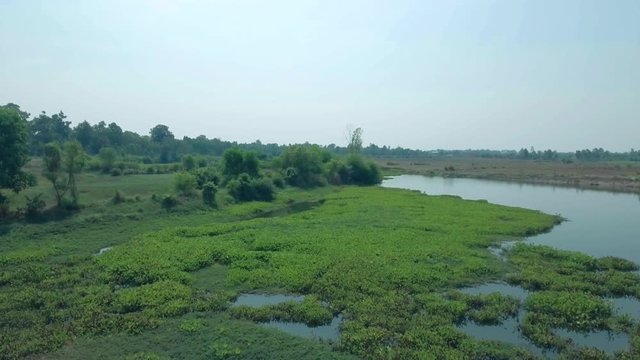 natural pond in asian landscape