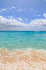 Fototapeta premium A Bermudan Beach