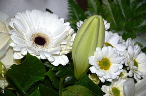 Bouquet De Fleurs Blanches Stock Photo And Royalty Free