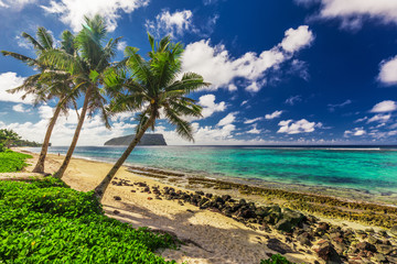 Lalomanu beach on Samoa Island with tree palm trees, Upolu, South Pacific