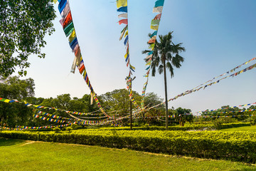 magical lanscape nature with flags and palm in land of buddhist temples. nepal. lumbini