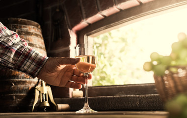 Wine expert tasting a glass of wine
