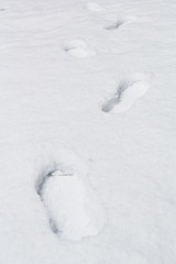 human footprints in the snow