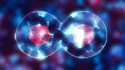 Cell with nucleus