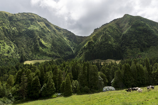 An impressive corner of nature.