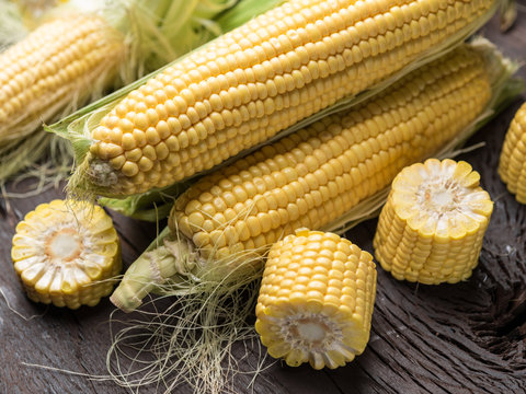 Ear of maize or corn on the dark wooden background.