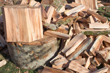 Wooden logs background. Big pile of firewood logs and blocks