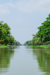 river and green  Nature
