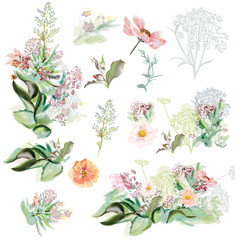 Collection of hand drawn flowers in watercolor style