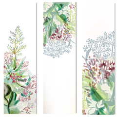 Floral vertical brochures set with field plant