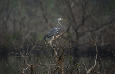 Waiting for fishing
