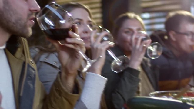 Handheld camera shot of group of friends toasting with wine at festive dinner outdoors