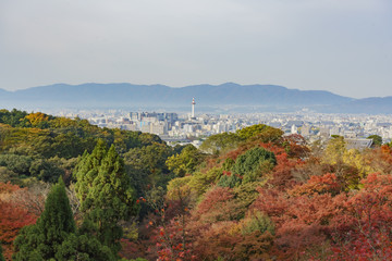 Fototapeta na wymiar Aerial view of the Kyoto cityscape from Otowa-san Kiyomizu-dera with fall color