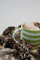 Chocolate drink and pines cones against white background