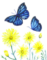A set of yellow daisies in watercolors with blue butterflies.