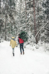 Beautiful Caucasian cople bringing a Christmas tree back home from forest