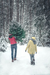 Fototapeta na wymiar Beautiful Caucasian cople bringing a Christmas tree back home from forest