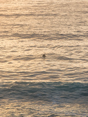 A single person in the middle of ocean water.
