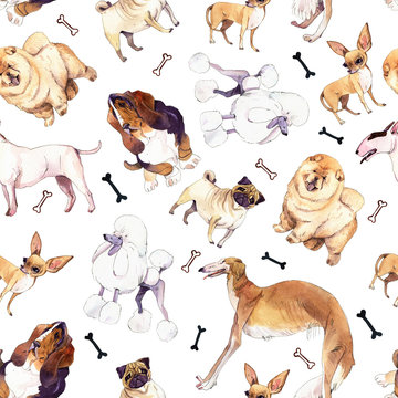 Watercolor illustration set of dogs